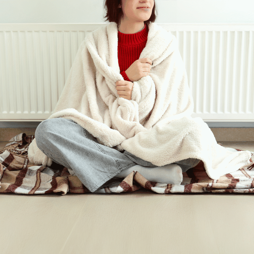 Elektra Comfort Electric Blanket - Queen - Fur