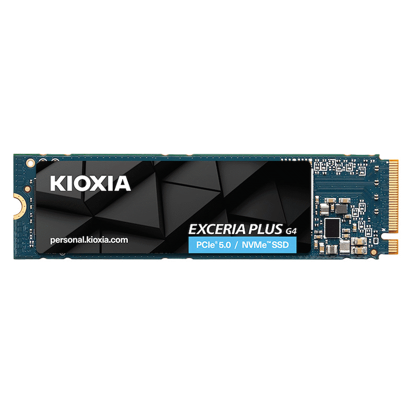 KIOXIA EXCERIA PLUS G4 NVMeTM Series, M.2 2280 1000GB