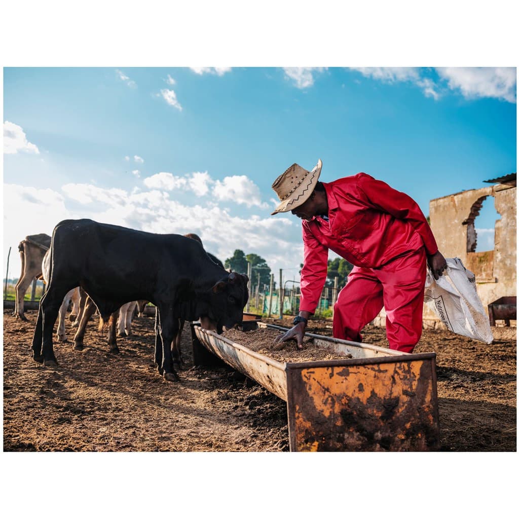 Trade Polycotton Conti Suit thumbnail 8