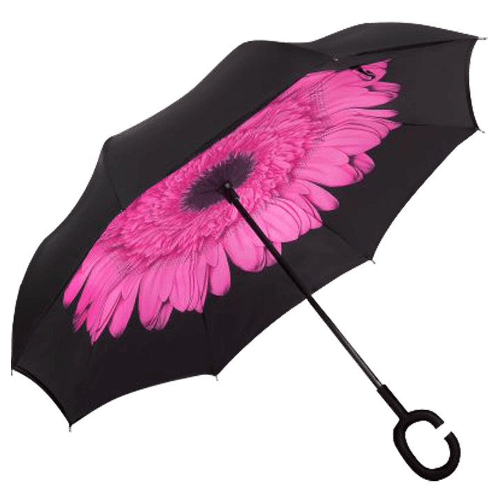 Printed Reversible Umbrella