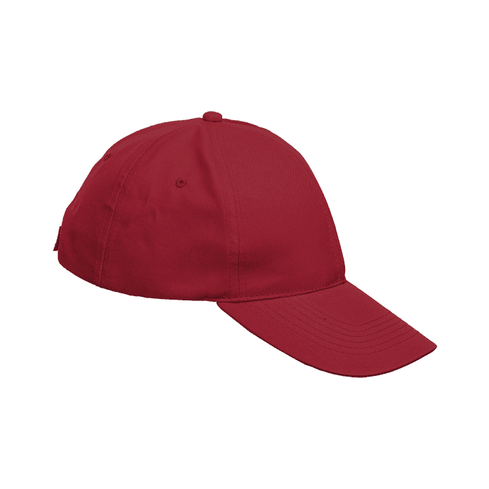 6 Panel Boost Cap thumbnail 4