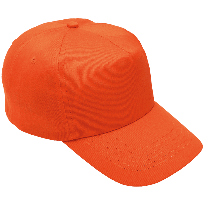 5 Panel Cotton with Hard Front Cap thumbnail 6