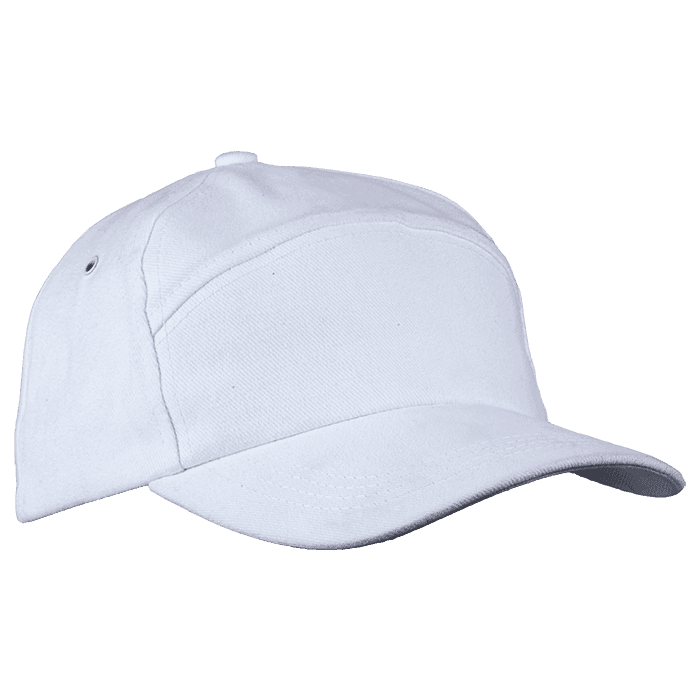 6 Panel Carbon Cap