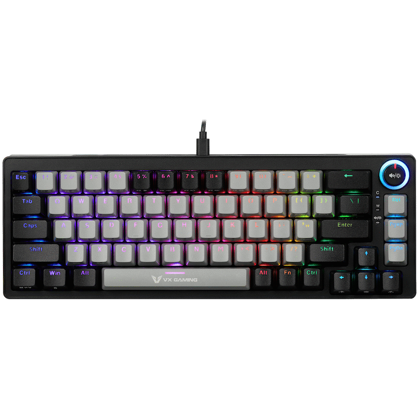 VX Gaming Sun-Wukong RGB Hot Swappable Mechanical Keyboard thumbnail 9
