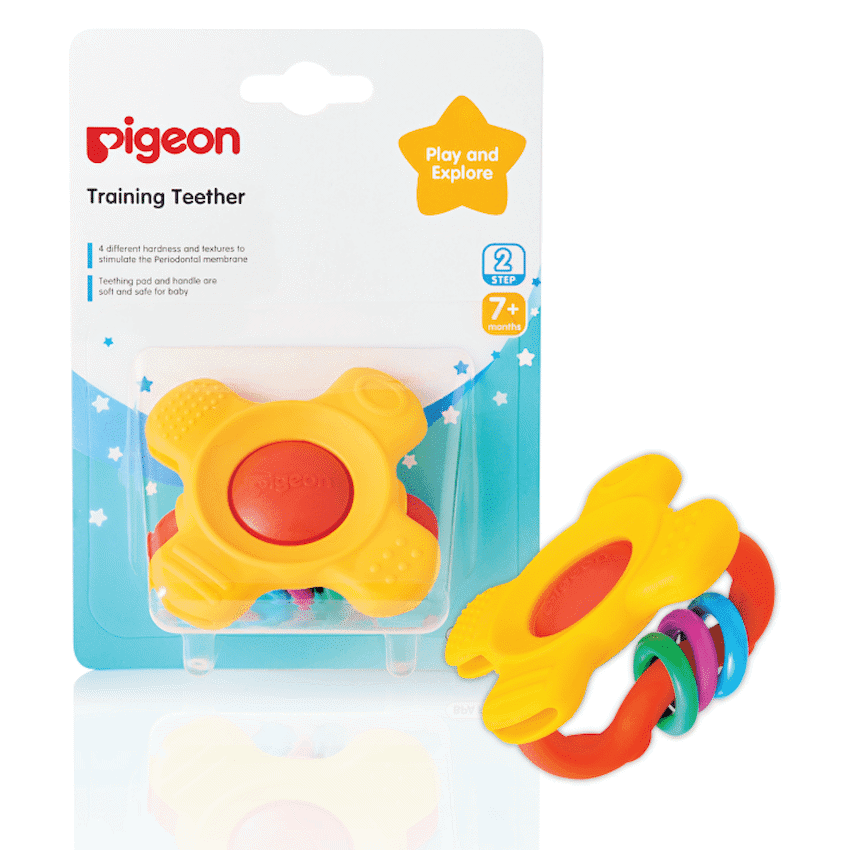 Pigeon – Training Teether Step 2