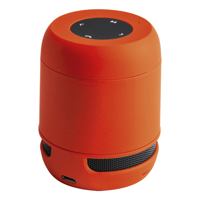 Braiss Bluetooth Speaker
