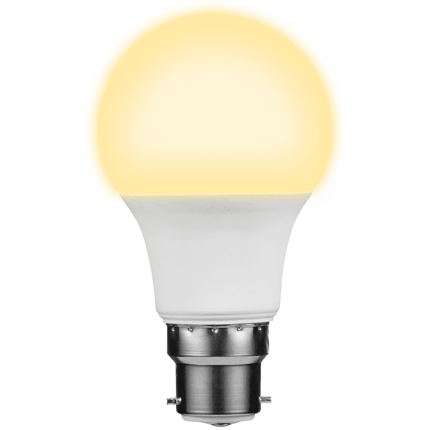 Switched 7w A60 Light Bulb B22