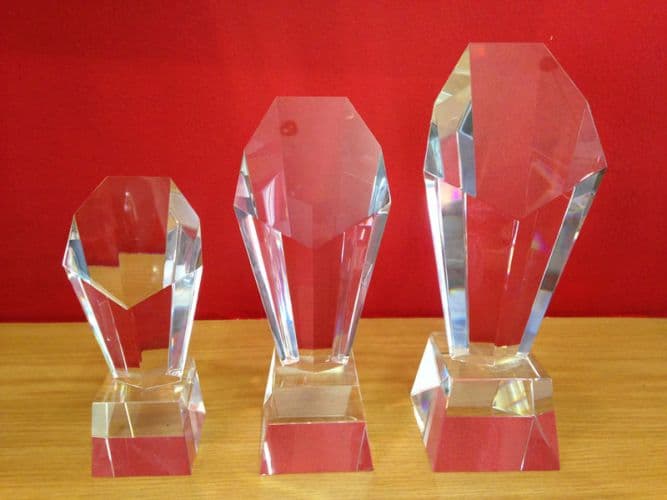 Discovery Award 24.5cm